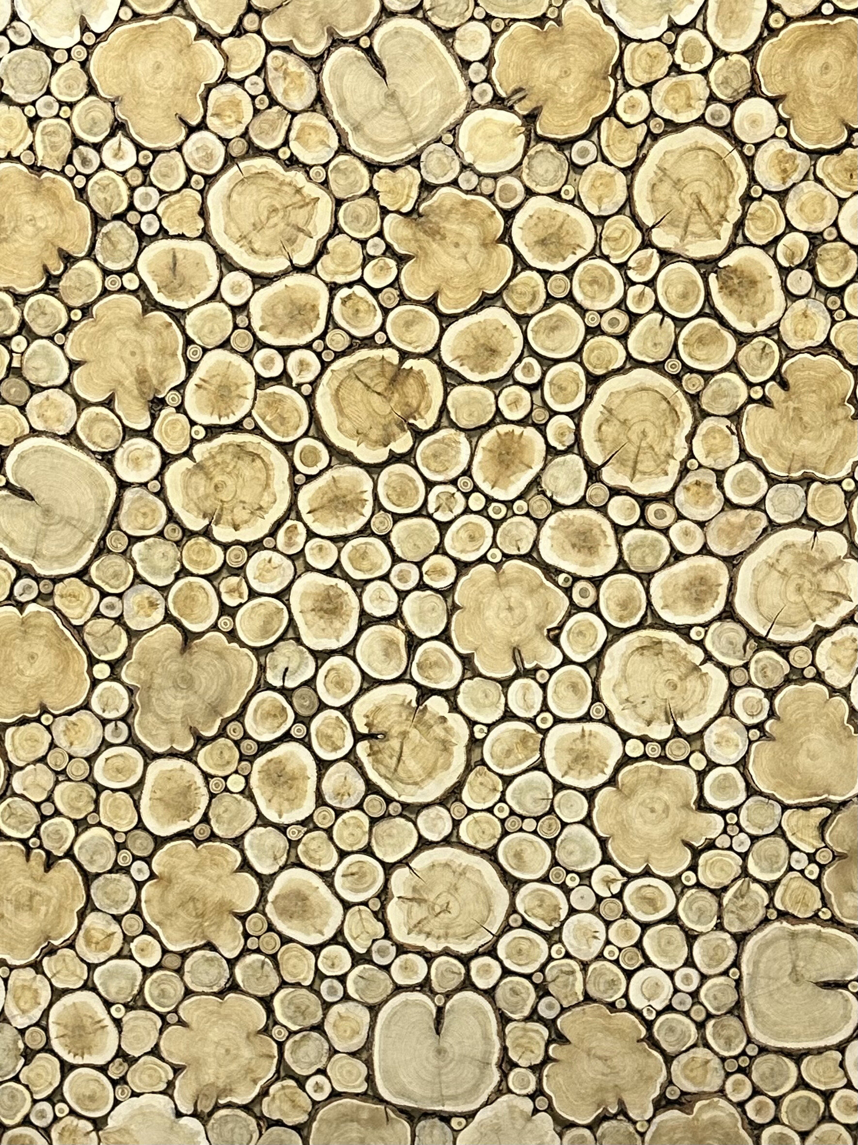 Панно из можжевельника